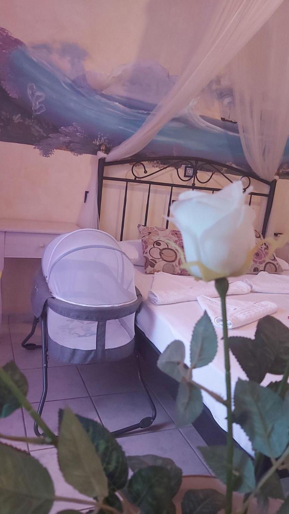 Aphrodite Boutique Hotel Aliki  Exterior photo
