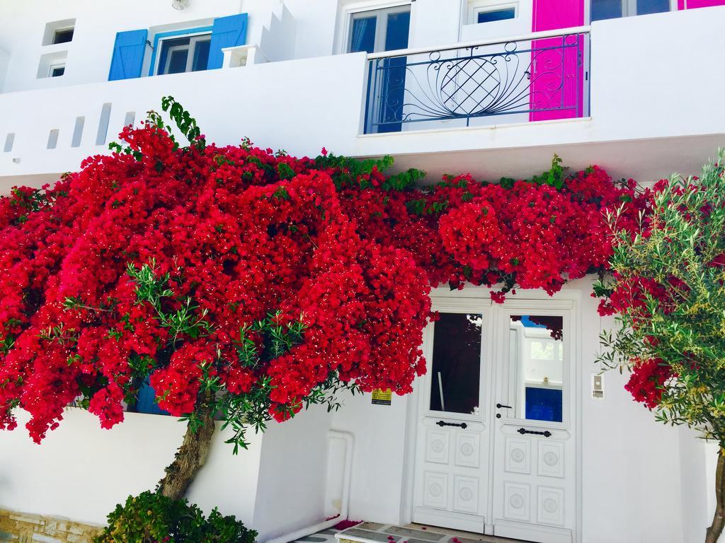 Aphrodite Boutique Hotel Aliki  Exterior photo